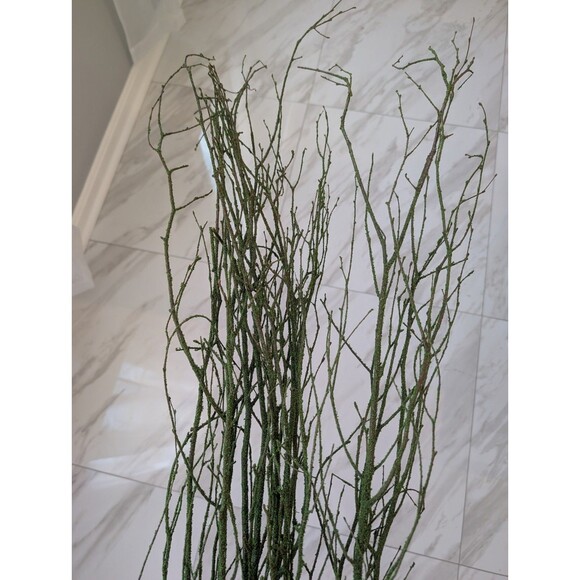 47in Green Coated Reeds Bundle x10 Branches - Picture 8 of 8